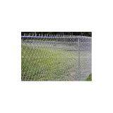 Pvc Coated Chain Link Fence thumbnail-3