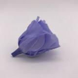 Preserved Flower Rose for Decor Supplies thumbnail-3