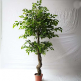 artificial bonsai banyan tree plant for decoration