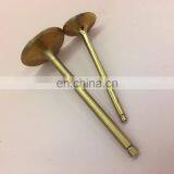 Diesel Engine Valve Adjustment Intake and Exhaust Valve for Semt Pielstick Engine thumbnail-6