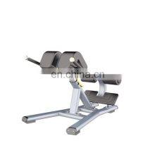 Gym Factory Exercise Machine High Quality Weight Training Commercial Gym Fitness Equipment Super Adjustable Bench Back Extension Bench