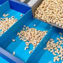 Easy Clean Homogeneous Belt for Food Industry thumbnail-4