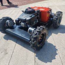 Vigorun VTW550 Weed Eater Multi-Terrain & Versatile Long Lifespan & Durable Wheeled Lawn Mower Garden Mower thumbnail-1
