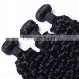 WJ002 5A Grade 100% Virgin Kinky Afro Curl Ombre Hair Extension Supplier's Choice thumbnail-5