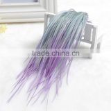 Top Quality cheap colored thin long real rooster feather hair extensions