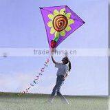 Cheap Diamond Kite