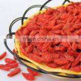 Gojiberry From Our Own Organic Goji Farm thumbnail-1