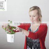 Flower Pot Plastic for Hanging Kitchen Pot thumbnail-3