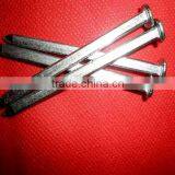 Square Head Square Boat Nails