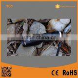 101 Hot Sale LED Zoomable LED Flash Light Rechargeable Emergency Light