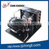 Freezer Condensing Unit With Various Brand Compressor