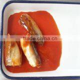 Canned Mackerel Fish in Tomato Sauce thumbnail-2