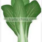 Multi-function Fresh Vegetable Packing Machinery (DCTWB-350X) thumbnail-3