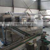 Automatic Tablet Blister/plastic Bottle Box Filling Machine thumbnail-1