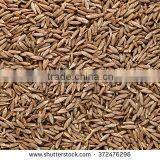 CUMIN SEED MACHIN CLEAN thumbnail-5