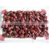 Round Red Chilles From Paramakudi thumbnail-2