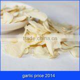 Garlic Price