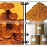 ganoderma lucidum reishi mushroom lingzhi