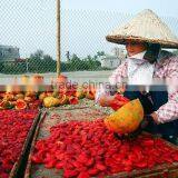 100% Pure Natural Gac Fruit Momordica Cochinchinensis Sement Momordicae Extract thumbnail-5