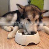 Single Screw Pet Food Machine thumbnail-3