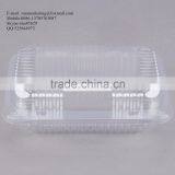 Durable OPS Clear Hinged Plastic Small Oblong Container/ Plastic Bakery Container/ Plastic Food Container for Take Out thumbnail-4