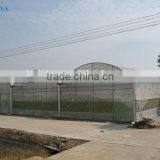 Baolida High Quality Plastic Greenhouse for Chili thumbnail-1