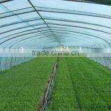 Film Single-span Sunlight Greenhouse thumbnail-1