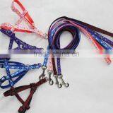 Pet Leash and Straps thumbnail-1