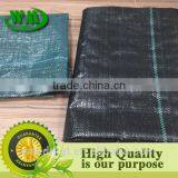 Black and Green Line pe Weedmat thumbnail-3