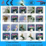 5mm Patterned/Rolled/Figured Glass(Aqualite; Grain; Net; Traingless; Irregular Squares; Hishicross) thumbnail-3