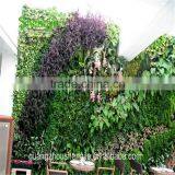 SJLJ013441 Wholesale Cheap Artificial Green Wall / Fake Plastic Grass Wall for Wall Decoration thumbnail-5