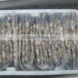 Raw Frozen Short Necked Clam thumbnail-2