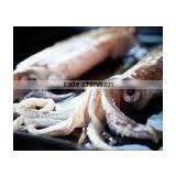 Chinese Frozen Squid thumbnail-1