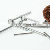 Iron Nail/iron Nail Supplies thumbnail-3