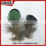 Carnival Decorate Green Loose Lady Amherst Pheasant Feathers for Sale thumbnail-2