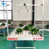 Greenhouse seedbed rolling benches ebb and flow grow system