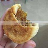 Multifunction Automatic Pineapple Tarts Making Machine Pineapple Cake Kubba Mold Forming Machine thumbnail-3