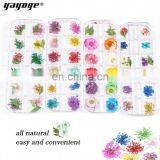 2021 New Arrivals Nail Accessories Natural Dry Flower For Nail Art Decoration thumbnail-5