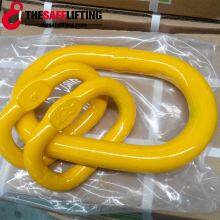 Thesafelifting company overview - view 4 thumbnail