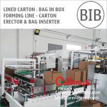 Lined Carton Bag in Box Forming Line - Carton Erector and Bag Inserter thumbnail-1