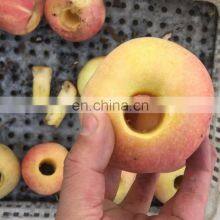 Apple Peach Core Remove Machine/Fruit Pitting Machine Cherry Corer thumbnail-4
