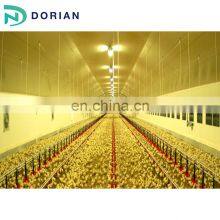 Used Steel Frame Chicken Shed Poultry Farming House Design thumbnail-4
