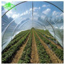 5 Years Warranty Anti-dripping Agricultural PO Greenhouse Plastic Film for Blueberry With Long Service Time thumbnail-3
