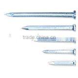 Steel Concrete Nail Manufacturer