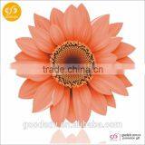 Hot New Product for 2016 Customized Hanging Paper Air Fresheners /bulk Air Fresheners thumbnail-1