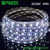 DC12V / DC24V IP65 LED Flexible Strip 5050 60leds/m Quality Choice