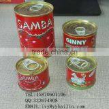 Jiangxi Bailin factory supply lower price and high quality 210g*48tins canned tomato paste