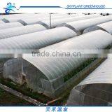 Cheap Plastic Film Greenhouse for Sale thumbnail-5