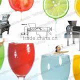 Stainless Steel Fruit Juicer Machine on Sale