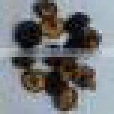 Dried Shiitake Mushroom From China thumbnail-1